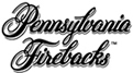 pennsylvania fireback logo